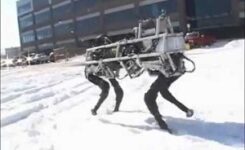 Dünyanın en güçlü 4 ayaklı robotu